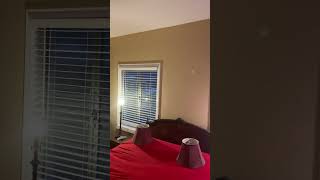 IMG 9253