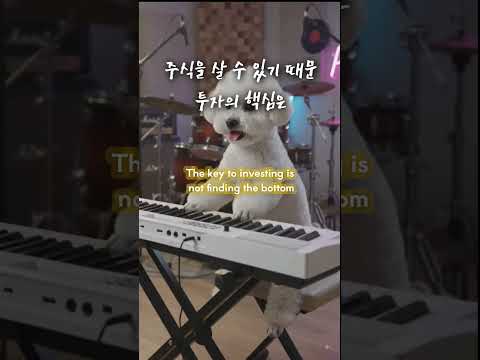 분할매수! #재테크 #주식투자 #미국주식 #미국성장주