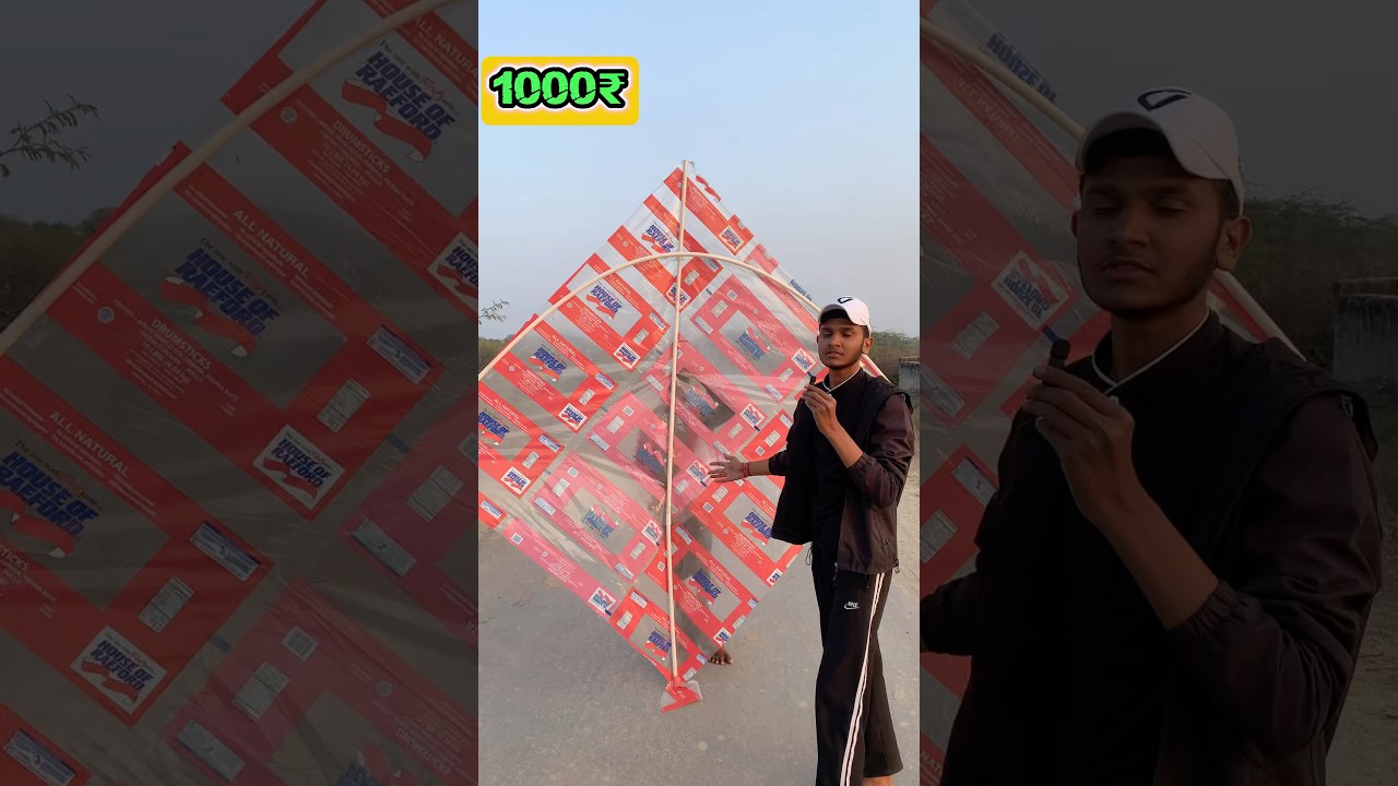 Flying 1₹ Vs 1,000₹ Kites