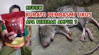 Review Racun Tikus KURATO: Benarkah Ampuh Basmi Tikus?