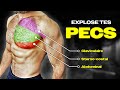 Ces 3 exercices pecs devraient tre obligatoire  expliqu par la science