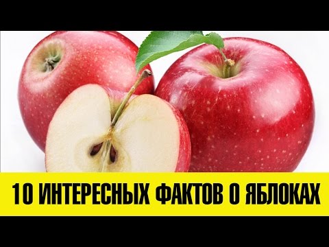 10 ИНТЕРЕСНЫХ ФАКТОВ О ЯБЛОКАХ