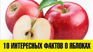 10 ИНТЕРЕСНЫХ ФАКТОВ О ЯБЛОКАХ