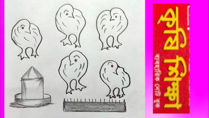 Gozal qiz, uning mushuk ustida buffant bilan