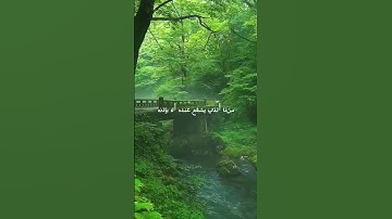 آية الكرسي #قرآن #قران_كريم #سورة_البقرة #سورة #اسلام #السديس #آية_الكرسي #اكسبلور