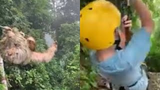 Zip Line Kid CRASHES into SLOTH in La Fortuna Costa Rican Rainforest