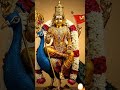 #devotional #murugan #muruga #music #songs #viral #video #tranding #sorts #short video #fashion#love