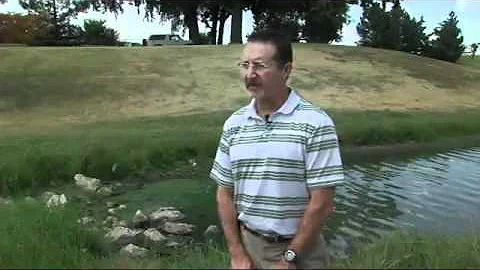 Blue green algae harming fish in ponds