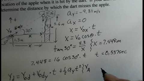 Projectile Motion Dart and Apple 1 aka Hunter and Monkey