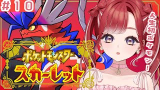 【ポケモンSV / スカーレット】二週目のジムが終わったということは…？【早乙女ベリー/にじさんじ】