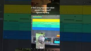 Angsty raccoon type beat #ableton #music #musicproduction #tiktok