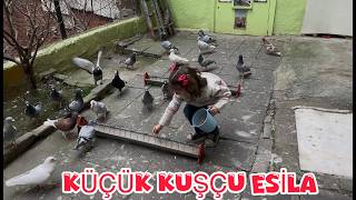 KÜÇÜK KUŞÇU ESİLE KOMİK ANLAR ( EYLENCELİ VE BİR OKADAR KEYFLİ VİDEO )