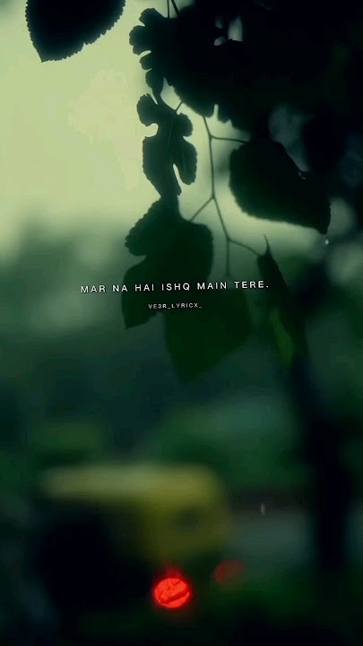 teri bahon mein jeena hai marna hai ishq mein tere x wishes | slowed and reverb | hoke tetho door