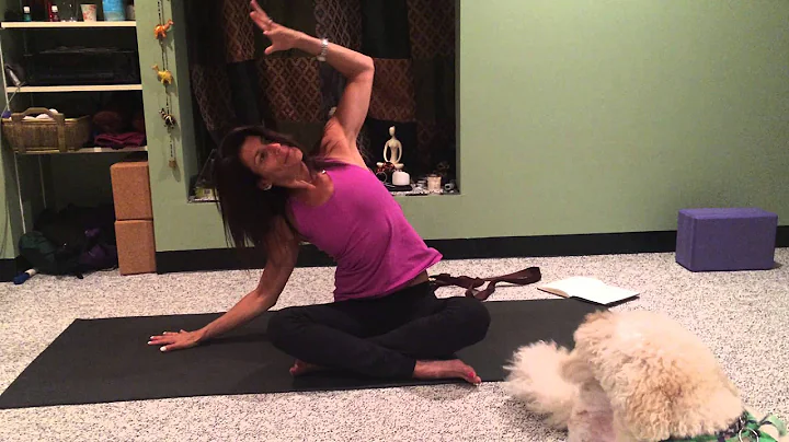 Fitness Yoga - Seated Side Body Stretch