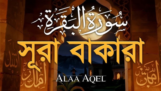 Bir ayol bogda egilib qoldi