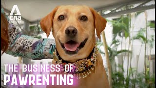 Bespoke Pet Fashion, Food &amp; Furniture: How We Spoil Our Dogs &amp; Cats | The Business Of Pawrenting