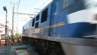JR貨物 EF210-315号機(吹田)+コキ23両 貨物列車67レ 2025.06.28