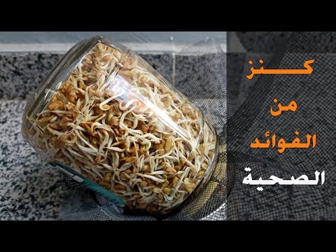 كنز من الفوائد الصحية عند إستنبات البذور بهذه الطريقة البسيطة جدا