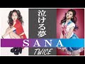 【泣ける夢】TWICE SANA （サナ）【再アップ】