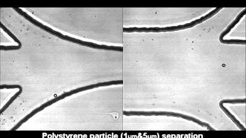 Continuous separation of microparticles in a microfluidic channel via the elasto-inertial effect...