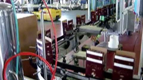 IC Filling Systems- Double Head Bag in Box Filler