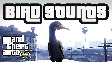 GTA 5 Bird Stunt Montage | Animal Stuntage Spoof