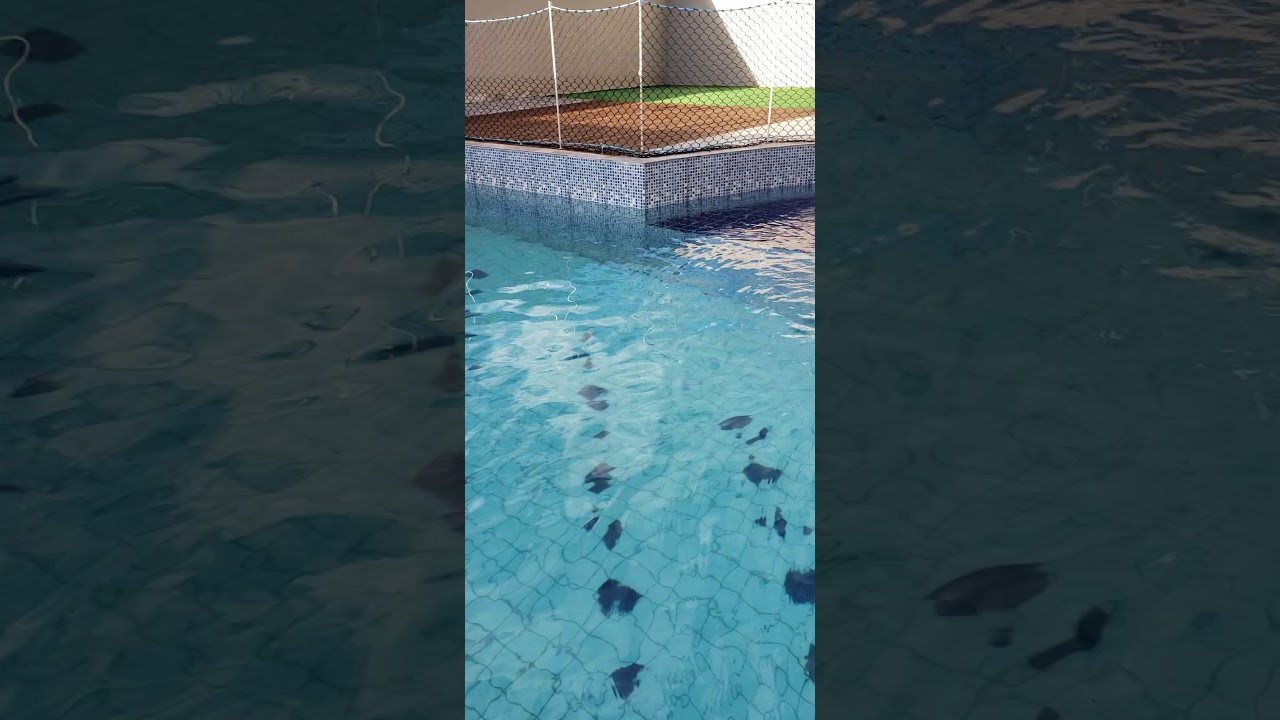 Ionizador solar para piscina e Skimmer caseiro YouTube