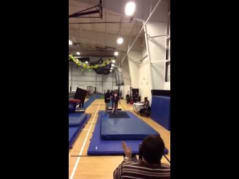 Alexis Smith Level 9 Vault