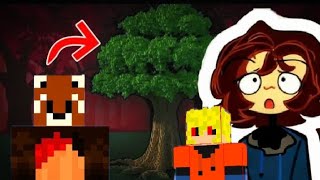 Uma floresta apareceu no centro do reino elemental!!