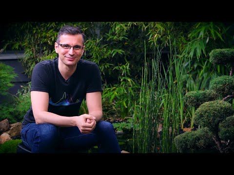 Video: Backyard Pond Waterfalls - Ինչպես կառուցել լճակ ջրվեժ այգում