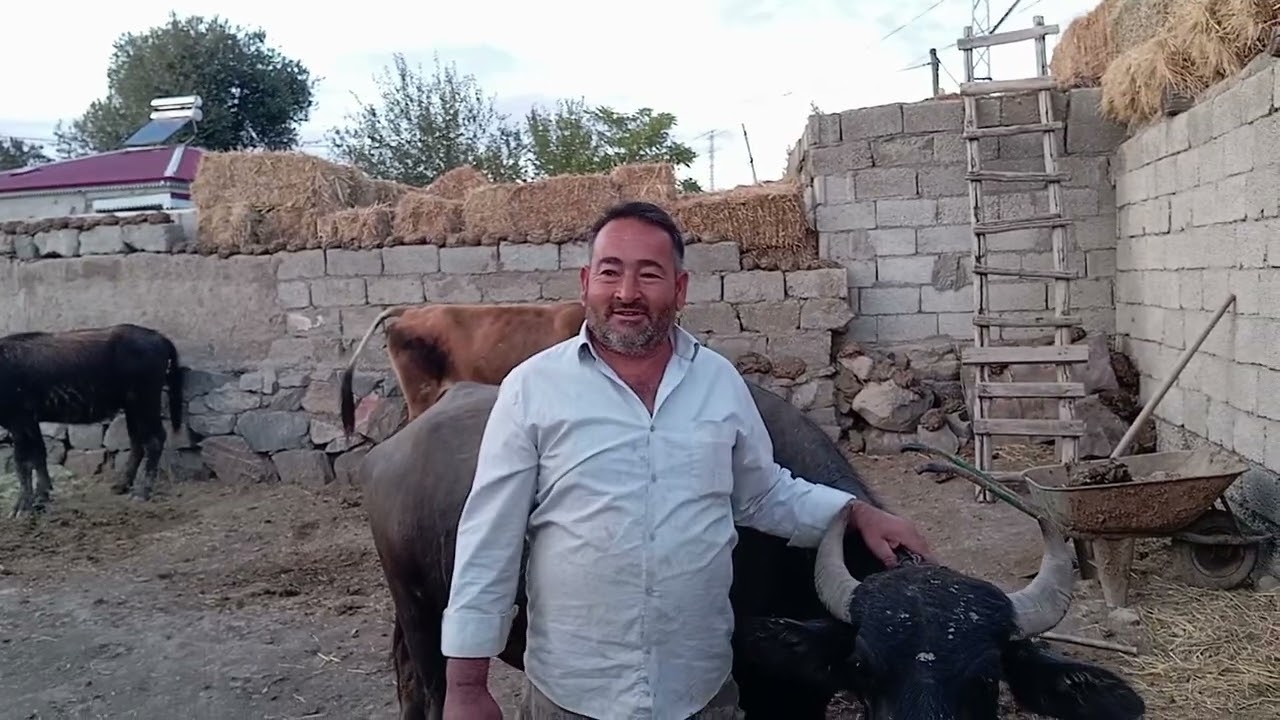 Iğdır Aralık ilçesi Aşağı çiftlik köyü