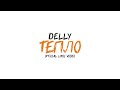 DELLY Тепло Official Lyric Video
