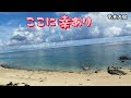 ここに幸あり/大津美子/歌詞付き(オカリナ演奏・217曲目)オカリナハイビスOcarina Hibi&lsquo;s