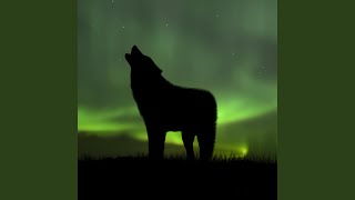Wolf's Spirit