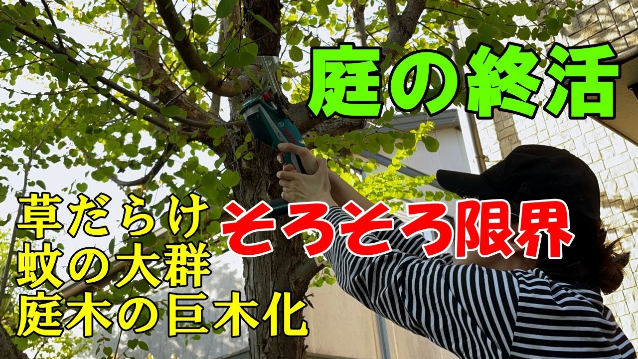 【庭のリフォームで雑草と蚊の大群問題解決しました】庭の終活/庭木の抜根/60代/シニアの暮らし/ガーデニング/おしゃれな庭