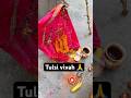 Tulsi vivah || Didi ने kiya tulsi mata ki puja🙏#youtubeshorts #minivlog #vlog #shorts #tulsivivah
