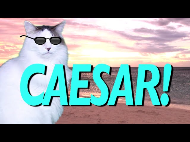 HAPPY BIRTHDAY CAESAR! - EPIC CAT Happy Birthday Song