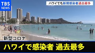 感染再拡大の米ハワイ州 新規感染者が過去最多更新【新型コロナ】