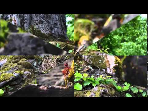 აჭარა, სოფელი ტბეთი