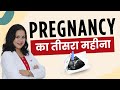 3rd Month Pregnancy Guide | Baby Development, Symptoms, Diet &amp; Care (Week 9–12)