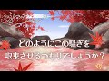 ミナミAアシュタールRadio53「どのようにこの騒ぎを収束させるつもりでしょうか？」