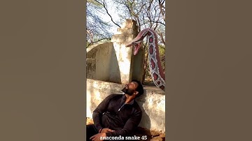Anaconda man attack 🐍😱#anaconda #shortfeed #anacondaattack #youtubeshort #python #shorts #shortvideo