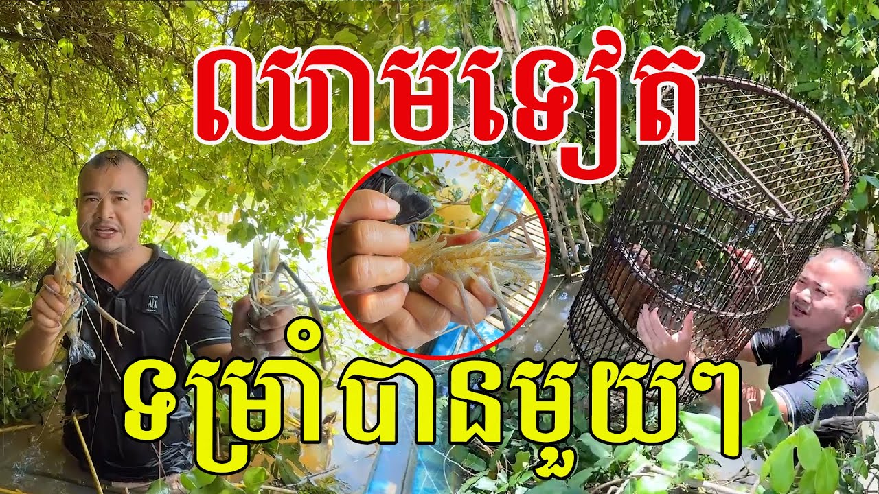 ទើបឃើញ ប្រើកណ្តូបធ្វើនុយ ដល់ខែឆ្ងាញ់ហើយបងប្អូន