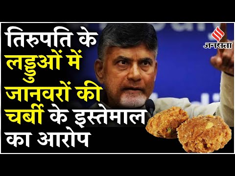 Tirupati Controversy: Chandrababu Naidu ने लगाया YSRCP पर आरोप कहा, धर्मिक आस्था के साथ खिलवाड़...