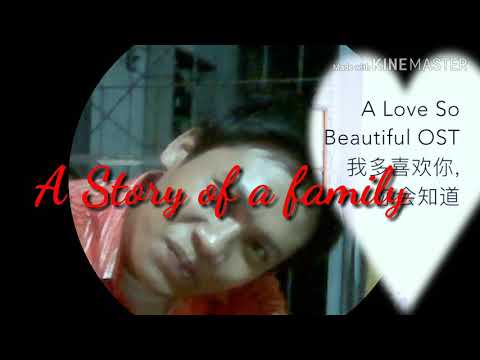 a-love-so-beautiful-ost-(lyrics)-english-version