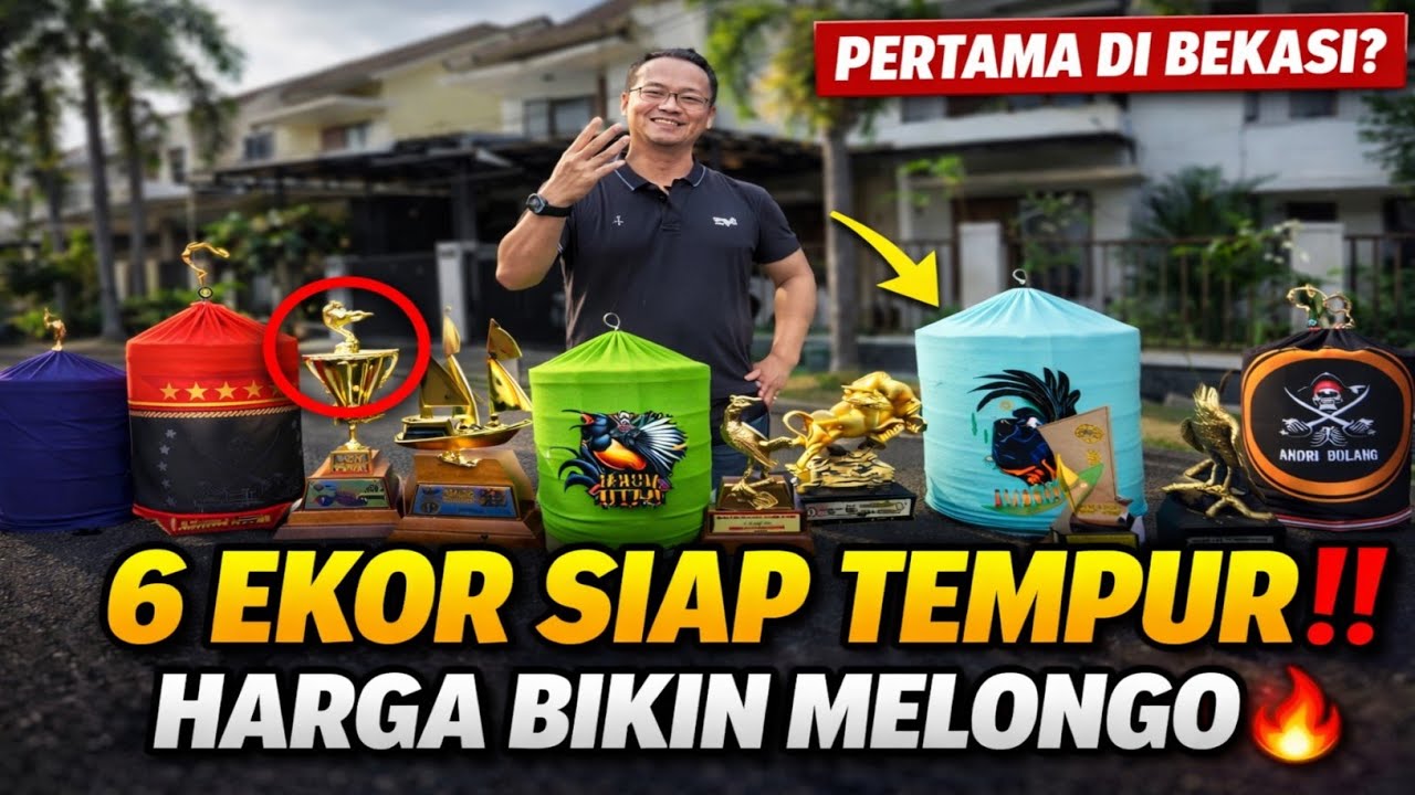 PERTAMA DI BEKASI‼️ 6 MURAI COL0KAN LAPANGAN SIAP TEMPUR, HARGA BIKIN MELONGO🔥