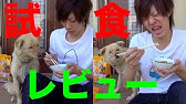 コーラで髪が染まる サラサラになる Youtube