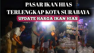 Download Lagu Hunting for Ornamental Fish Market Mastrip Surabaya. MP3