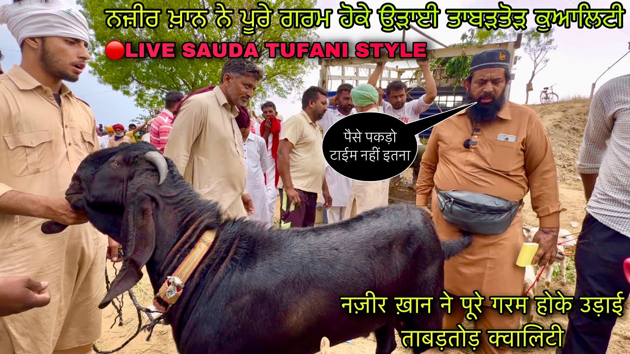 नज़ीर ख़ान ने पूरे गरम होके उड़ाई ताबड़तोड़ क्वालिटी #live_sauda tungwali mandi @farming baba