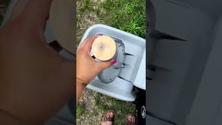 Bestway SaluSpa Miami Reviews